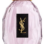 YSL-Annonce.jpg