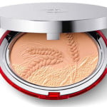 Clarins.jpg