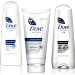 Dove_repair.jpg