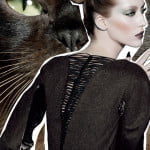 FabulousFelines-BurmeseBeauty-FA10.jpg