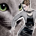 FabulousFelines-PalacePedigreed_1.jpg