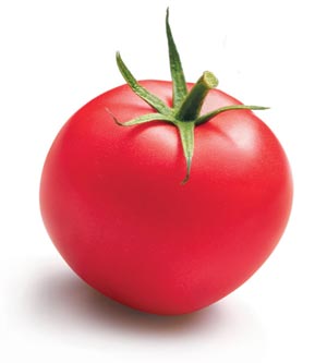 pomidor, AA Eco