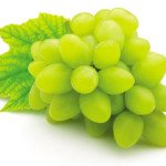 AA_ECO_teaser_winogrono.jpg