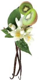 Neutrogena kiwi wanilia