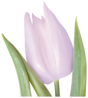 Oceanic, higiena intymna