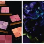 Nocny_ogrod_YSL-2.jpg