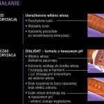 dzialanie_dia_color.jpg