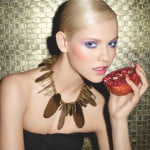 ysl_2012