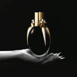 lady_gaga_fame_flakon.jpg
