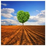 VisionHouse1-Nature-2.jpg