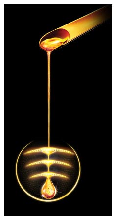 kropla, szampony Clear