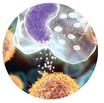 komórka, test MRT, nietolerancja pokarmowa