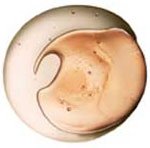 Clarins Double Serum