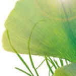 botanical_dtox_lisc.jpg