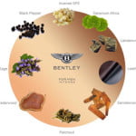 bentley_for_men_intense.jpg