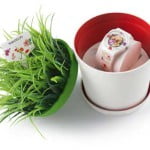 Swatch-BLOSSOMING-LOVE—na-Dzie%C5%84-Matki.jpg