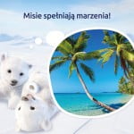 misie1.jpg