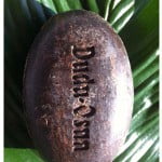 dudu-osun.jpg