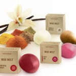 wax_melt_spicy_mix_oriental_mix_vanilla_mousse_arrangement_small_410.jpg