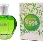 New-Brand-Women-Green-Rose-woda-perfumowana-100ml-1.jpg